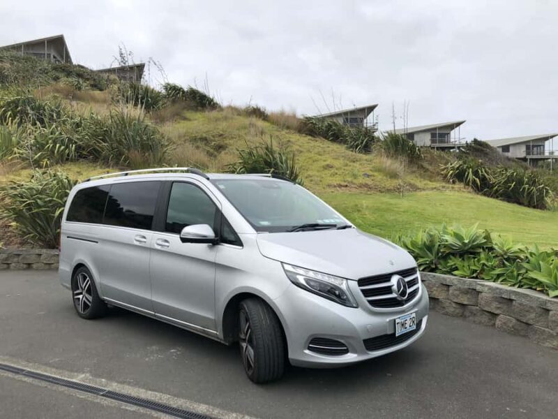 Luxury Auckland Maori Tour - Final Thoughts: Is It Worth It?