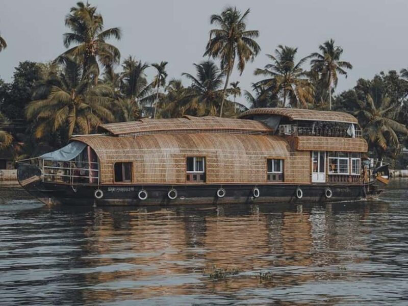 Luxury Backwater Cruise  One-Day Private Tour from Kochi - Overview of the Experience
