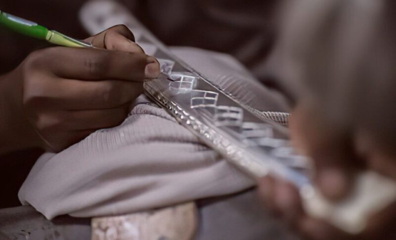 Luxury Boat ride, Havelis, Heritage Walk & High Tea - Who Is This Tour Best For?