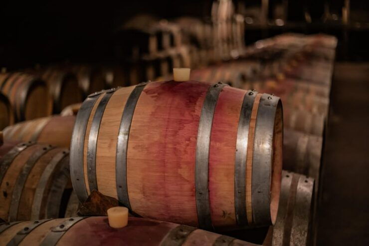 Luxury Burgundy Private Wine Tour - Itinerary Highlights