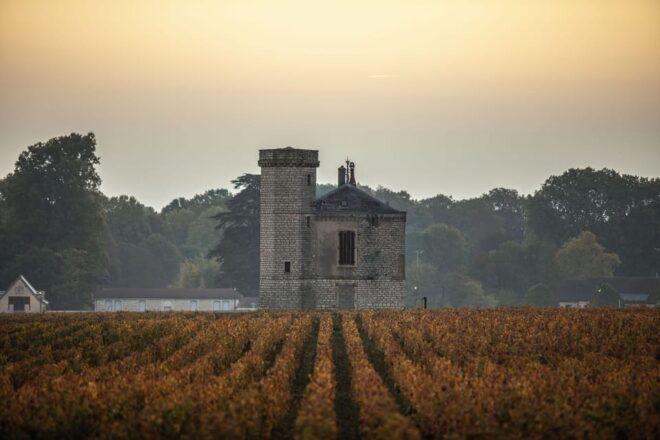 Luxury Burgundy Private Wine Tour - Logistics and Transportation