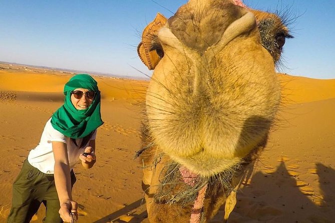 LUXURY Camp 3 Days Desert Trip Marrakech to Merzouga & Camel Trek - Meeting and Pickup Details