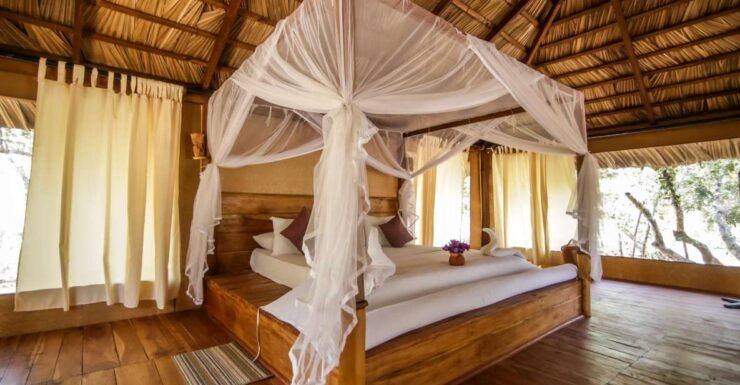 Luxury Camping and Safari Experience in Yala Park - Booking and Provider Information