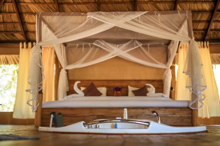 Luxury Camping and Safari Experience in Yala Park - Experience