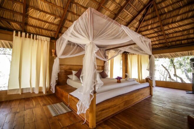 Luxury Camping and Safari Experience in Yala Park - Highlights