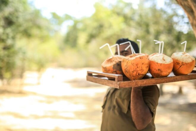 Luxury Camping and Safari Experience in Yala Park - Pricing and Availability