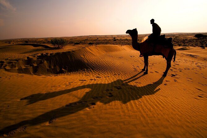 Luxury Camping with Desert Safari In Jaisalmer - Who Would Love This Tour?