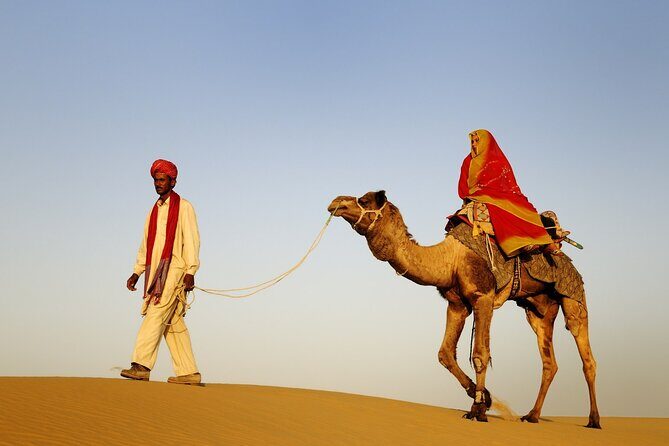 Luxury Camping with Desert Safari In Jaisalmer - Who Is This Tour Best For?