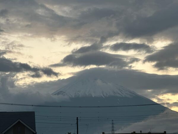 Luxury Car Professional Driver Japan Full Day Tour Week Tour - Activities to Enjoy