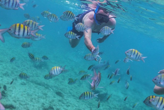 Luxury Catamaran and Snorkel. Lunch & Open Bar Onboard and Visit to Isla Mujeres - The Sum Up