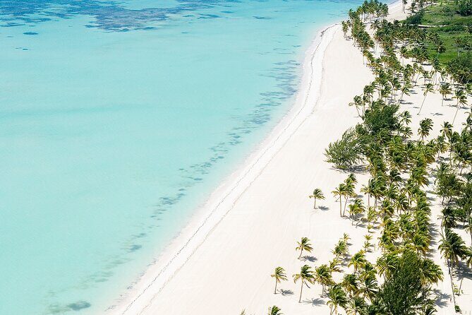 Luxury Catamaran Cruise: Snorkel, Beach Club, Cenote & Open Bar - Is This Tour Right for You?