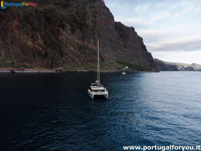 Luxury Catamaran New Year and Fireworks Madeira - Live Tour Guide in Multiple Languages