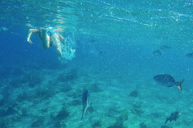 Luxury Catamaran to Isla Mujeres + Private Beach Club with Open Bar - Final Words