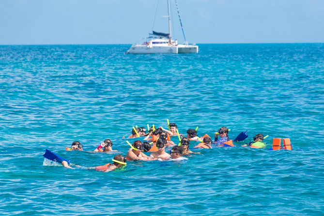 Luxury Catamaran Tour to Isla Mujeres With Transportation From Playa Del Carmen - Tour Highlights and Activities