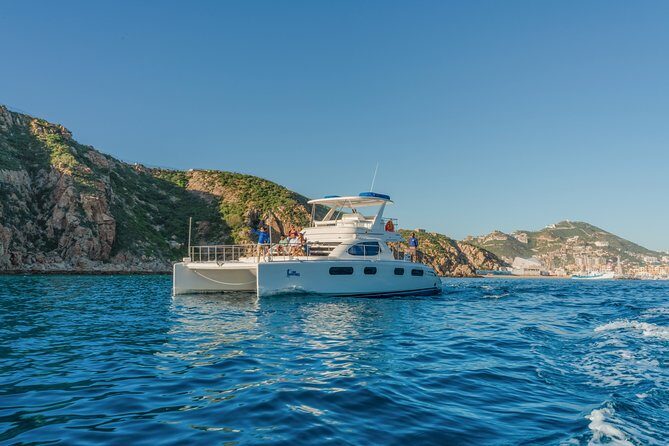 Luxury Catamaran Whale Watching Cabo San Lucas - Who Will Love This Tour?