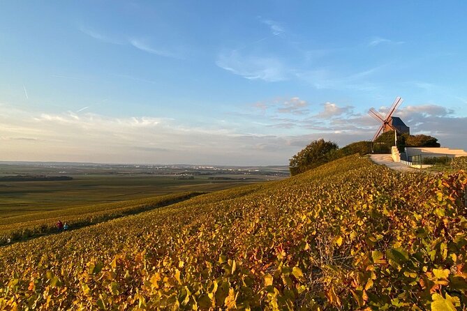 Luxury Champagne Tour, Private & Exclusive (Group Price & Possible From Paris) - VIP Treatment and Personalized Experience