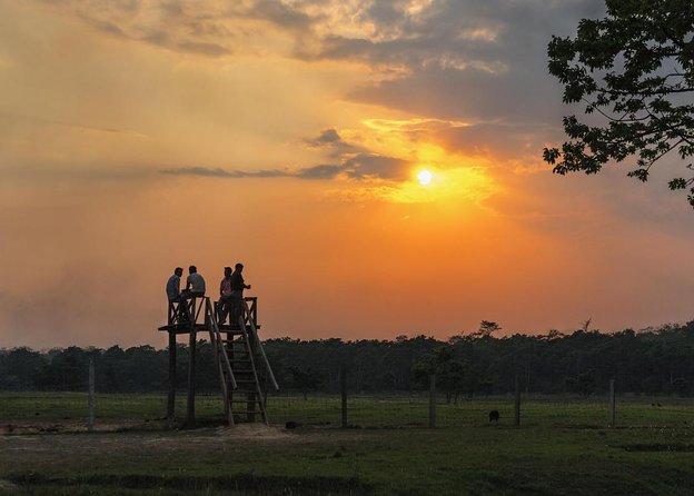 Luxury Chitwan Jungle Safari - 3 Days - Good To Know