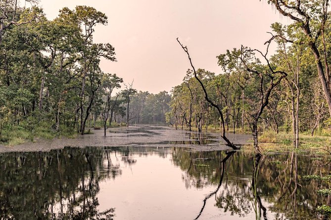 Luxury Chitwan Jungle Safari - 3 Days - Expert Guided Tours