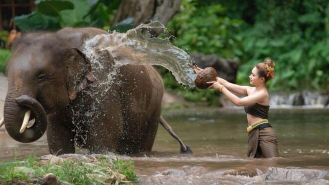Luxury Chitwan Jungle Safari 4 Days Tour - Inclusions