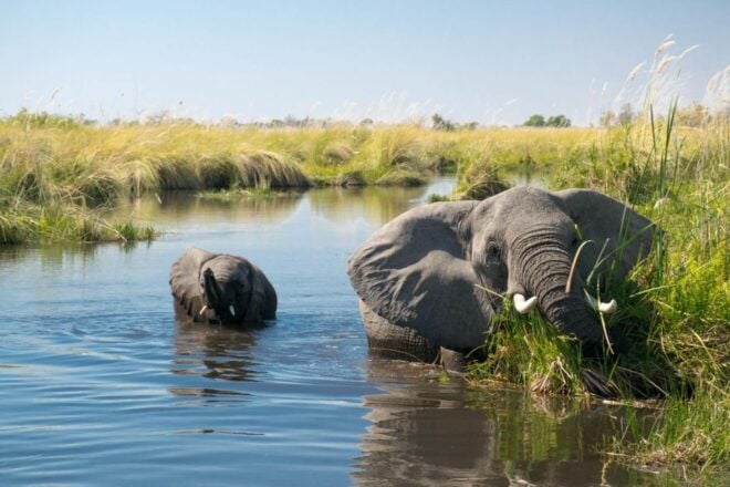 Luxury Chitwan Jungle Safari 4 Days Tour - Directions