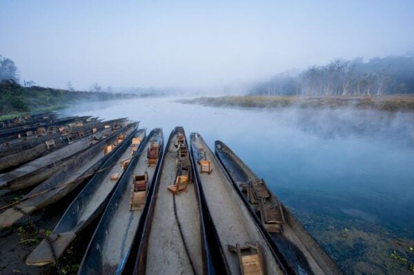 Luxury Chitwan Jungle Safari 4 Days Tour - The Sum Up