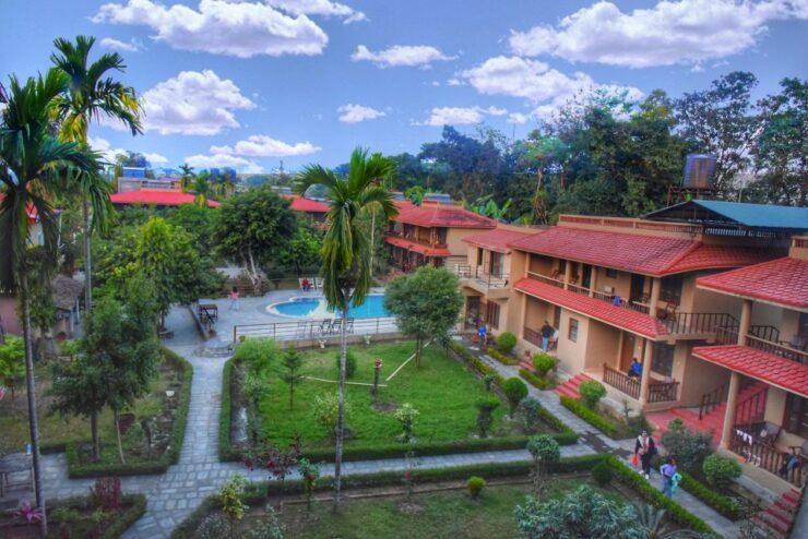 Luxury Chitwan Jungle Safari Package (2Nights/3Days) - Accommodation and Amenities