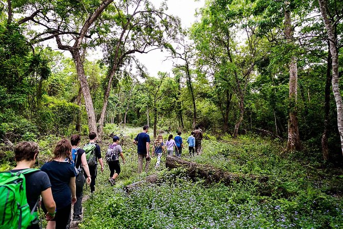 Luxury Chitwan Tour Package 2 Nights 3 Days From Kathmandu - Accommodation Details for 2 Nights in Chitwan