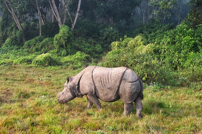 Luxury Chitwan Tour Package 2 Nights 3 Days From Kathmandu - Inclusions in the Luxury Chitwan Tour Package
