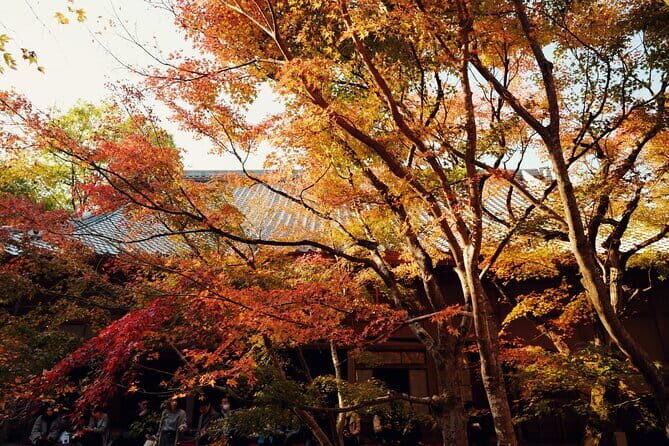 Luxury Classic Kyoto Day Tour - Private Customized Car Tour - Reviews: What Real Travelers Say