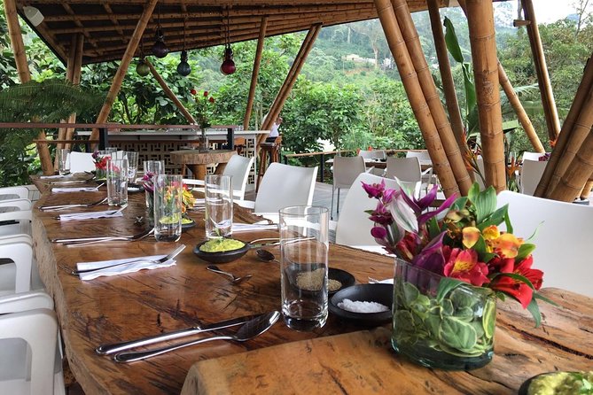 Luxury Coffee Plantation Private Tour (9 Hrs.) - Tour Highlights