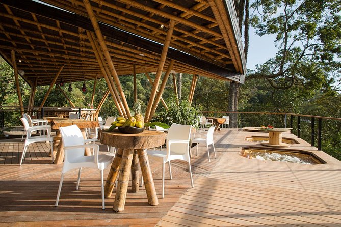 Luxury Coffee Plantation Private Tour (9 Hrs.) - Traveler Experiences