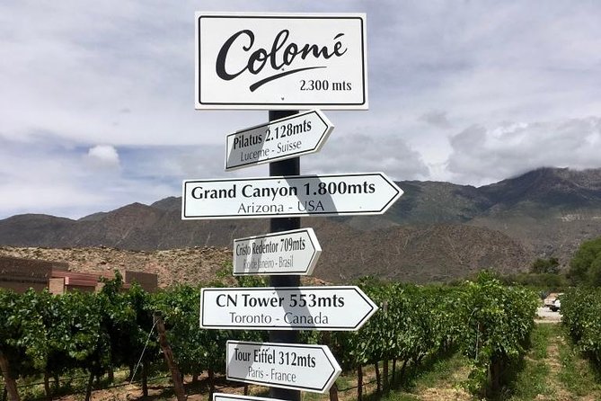 Luxury Colome Wine Tour - Tour Highlights