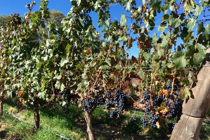 Luxury Colome Wine Tour - Cancellation Policy