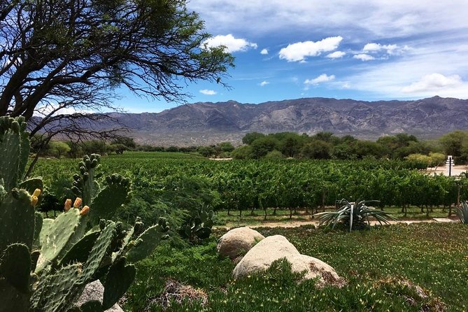 Luxury Colome Wine Tour - Frequently Asked Questions