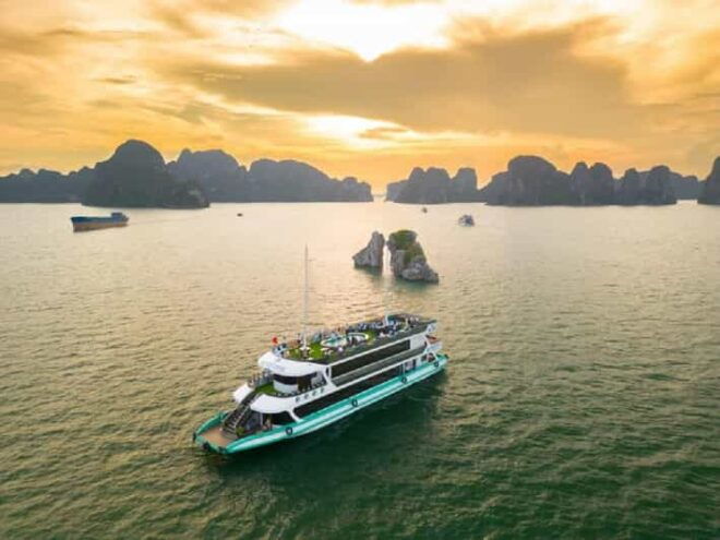 Luxury Cruise for Halong Bay 1 Day With Buffet Lunch - Pricing Details