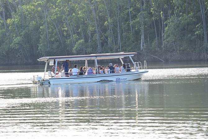 Luxury Daintree - Cape Tribulation Tour From Port Douglas - Customization Options