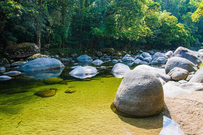Luxury Daintree - Cape Tribulation Tour From Port Douglas - Common Questions