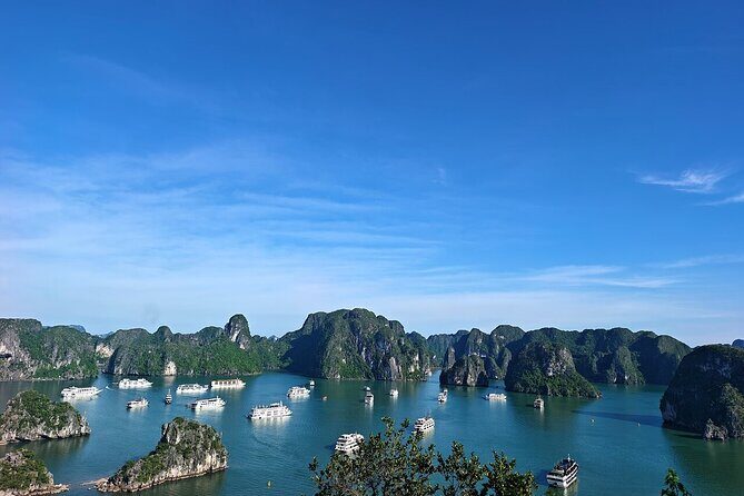 Luxury Day Cruise with Buffet & Limousine Transfer in Halong Bay - Good To Know