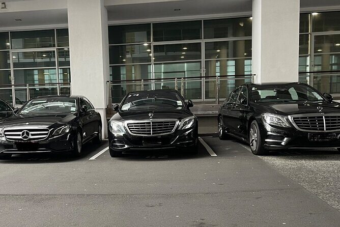 Luxury Day Tours Auckland - A Detailed Look at What to Expect