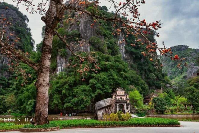 Luxury Day Trip: Bich Dong, Local Farmers House, Trang An - Cultural Experiences Offered