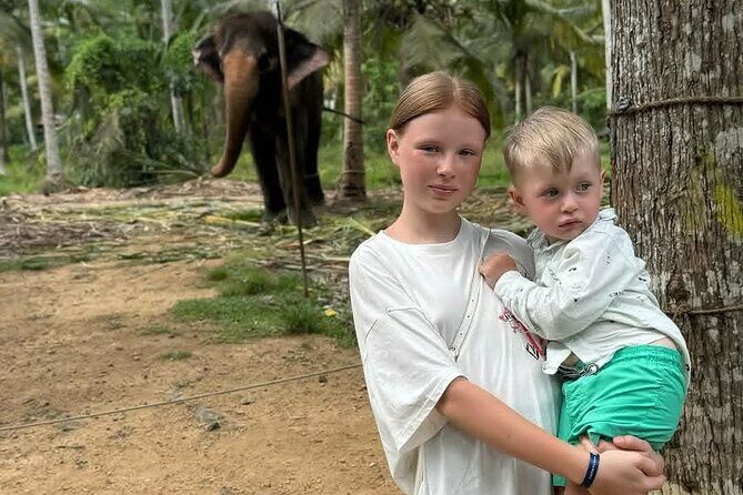 Luxury Day Trip from Colombo to Pinnawala and Kandy Highlights - A Closer Look at the Itinerary