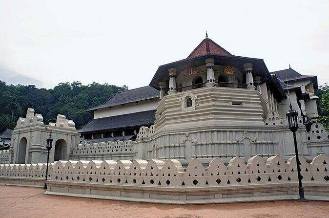 Luxury Day Trip from Colombo to Pinnawala and Kandy Highlights - Why the Price Offers Good Value