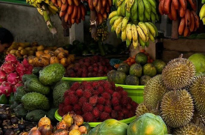 Luxury Day Trip from Colombo to Pinnawala and Kandy Highlights - Who Should Book This Tour?