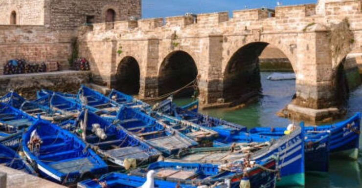 Luxury Day Trip to Essaouira ,Atlantic Coastal With a Group - Activity Details