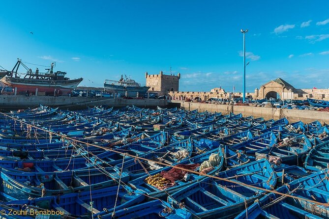 Luxury Day Trip to Essaouira - What To Expect