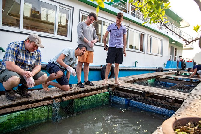 Luxury Day Trip Visit Halong Bay and Lan Ha Bay (8Hours) - The Sum Up