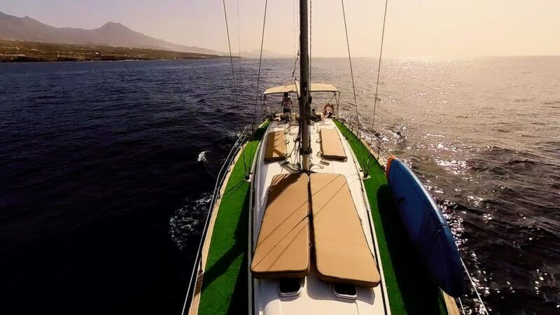 Luxury Dolphin Boat Excursions From Puerto Colon, Tenerife - Key Points