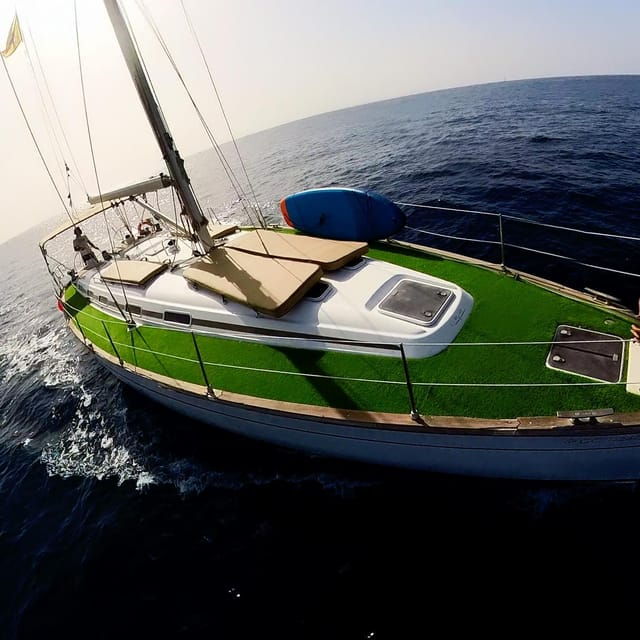 Luxury Dolphin Boat Excursions From Puerto Colon, Tenerife - Common Questions