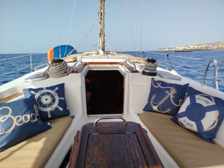 Luxury Dolphin Boat Excursions From Puerto Colon, Tenerife - The Sum Up