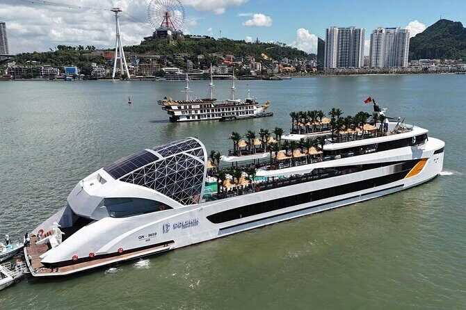 Luxury Dolphin Cruise in Ha Long Bay Buffet Lunch, Pool & Party - Relaxation and Entertainment on the Return